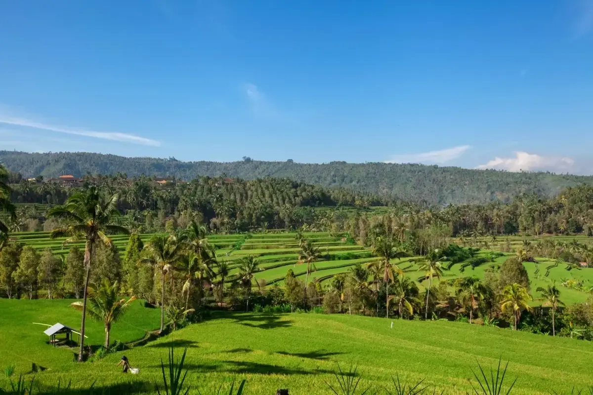 11 Days Bali Tour Package