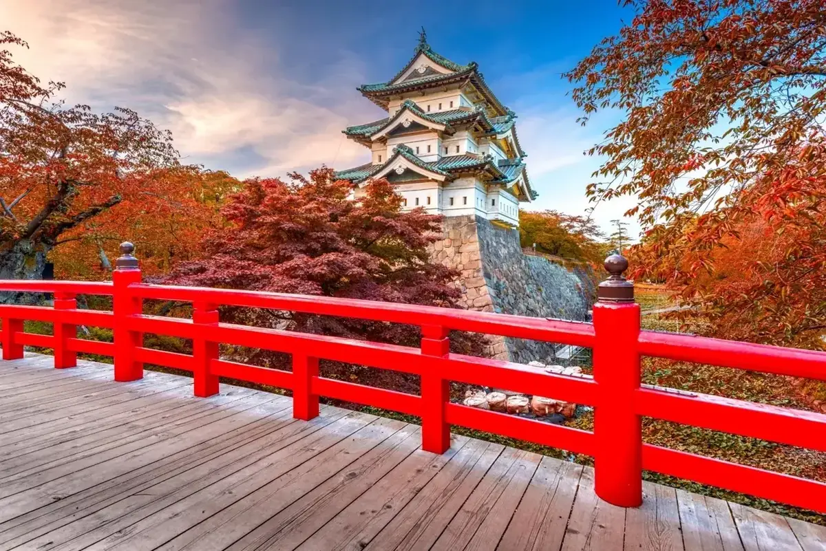7 Days Japan Tour Package