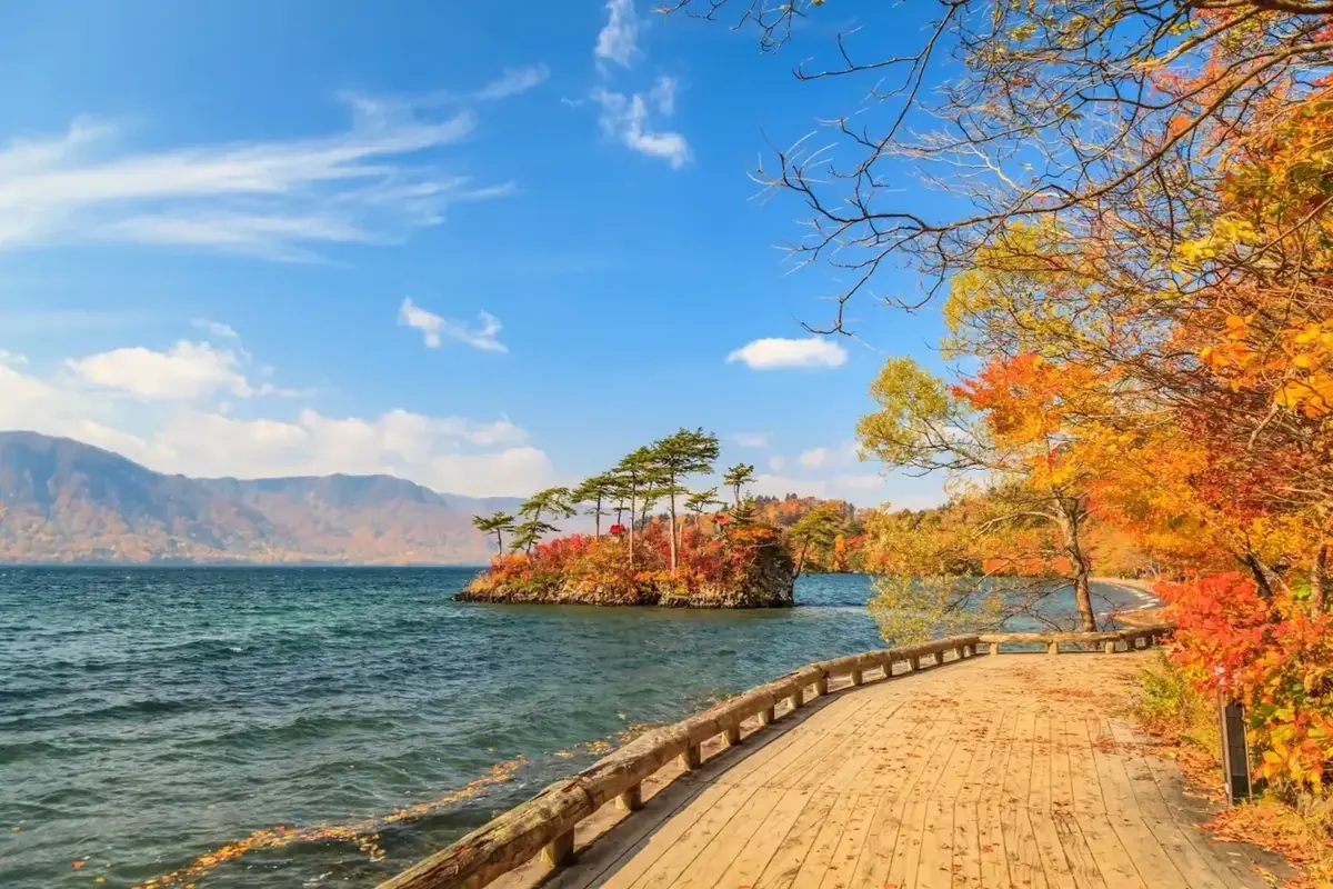 8 Days Japan Tour Package