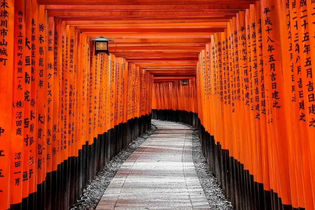 Japan Group Tour