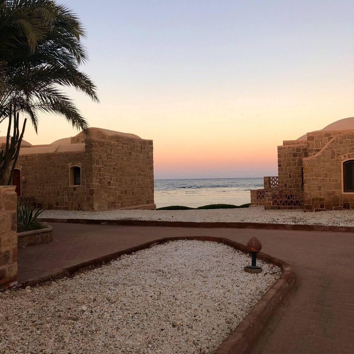 8 Days Luxury Jordan Tour