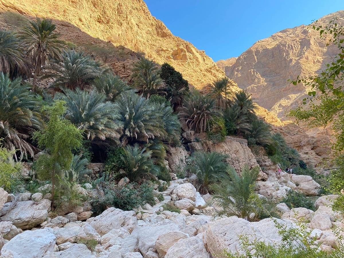 12 Days Oman Tour Package