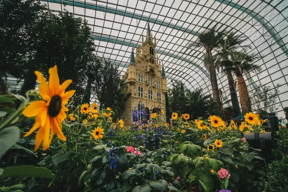 Luxury Singapore Tour Package