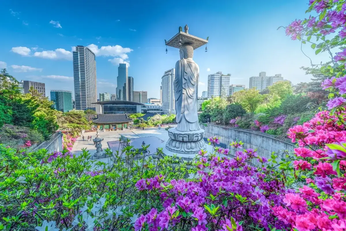 South Korea tour packages from Pakistan – Seoul attractions