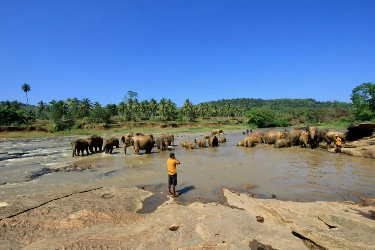 9 Days Sri Lanka Tour Package