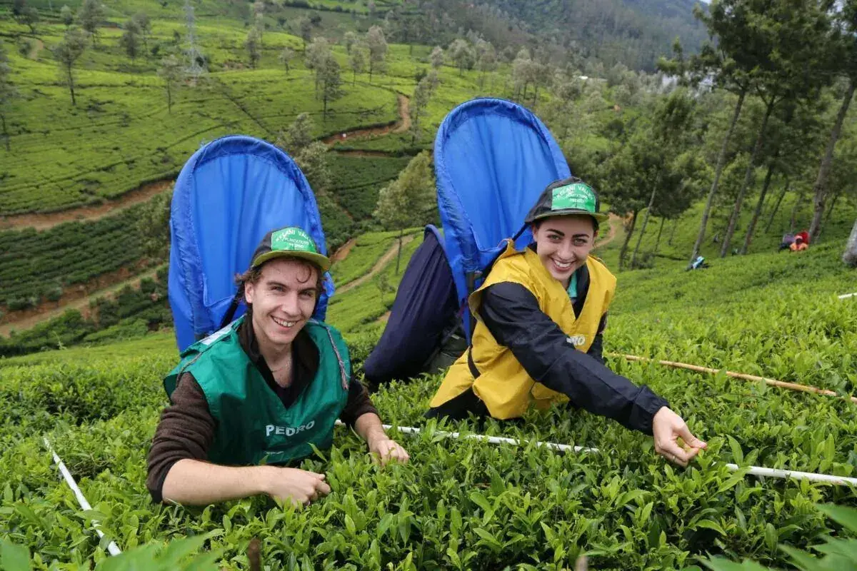 12 Days Sri Lanka Tour Package